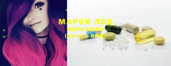 прущие грибы Надым