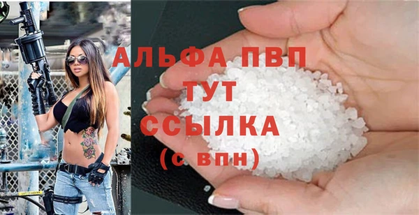 прущие грибы Надым