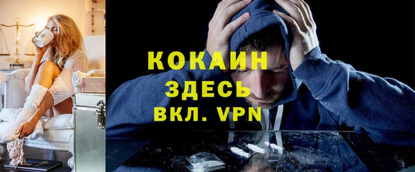 прущие грибы Надым
