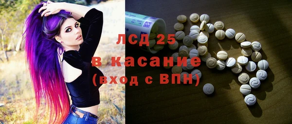 прущие грибы Надым
