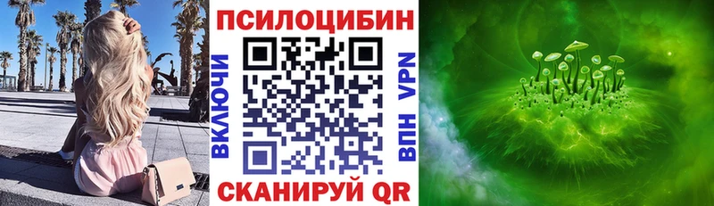 купить наркотики сайты  Усть-Илимск  Псилоцибиновые грибы Psilocybe 