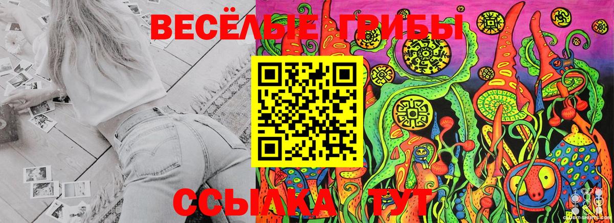 купить  цена  Усть-Илимск  Псилоцибиновые грибы Psilocybine cubensis  Галлюциногенные грибы ЛСД 